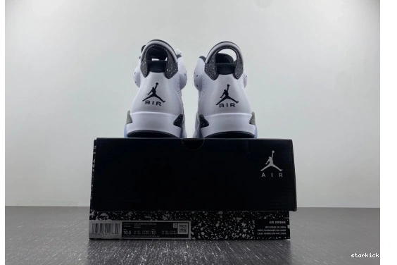 CT8529-112 Oreo 6 CT8529-112 Retro Reverse Jordan  0218